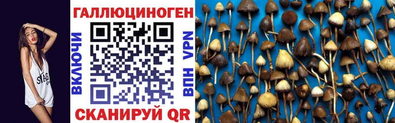 Галлюциногенные грибы Cubensis  Ачинск 