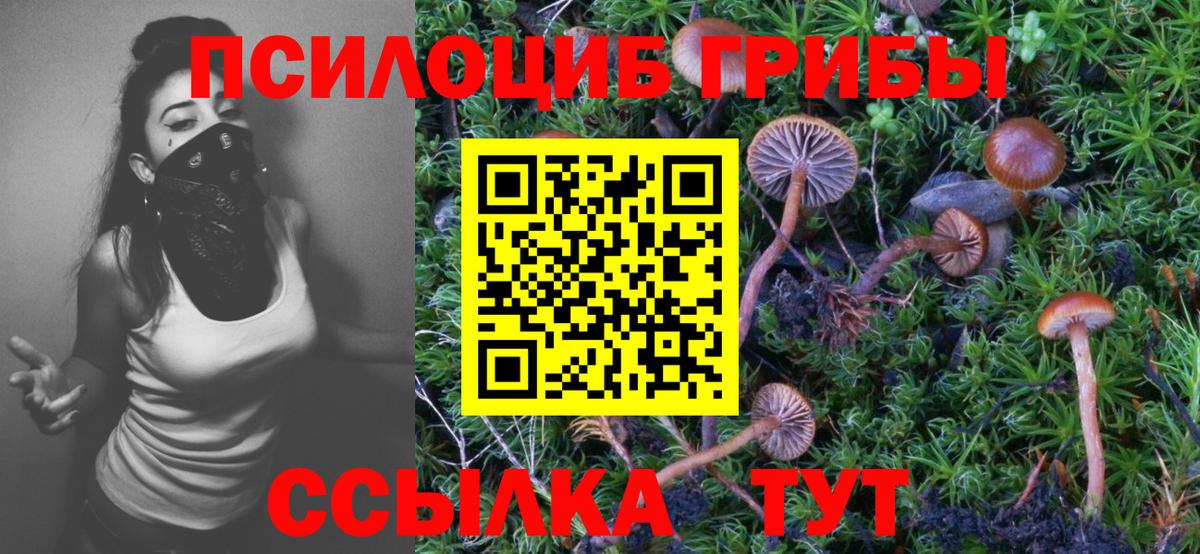 Псилоцибиновые грибы GOLDEN TEACHER Ачинск